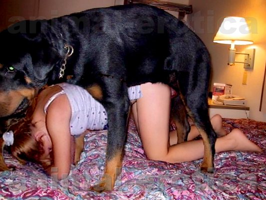 Girl have sex with dogs in Nagpur