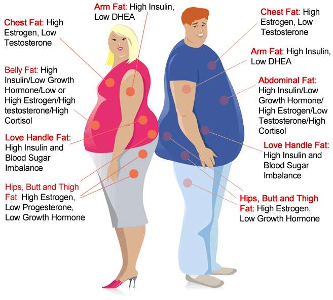 Obesity and sex positions 15 Best